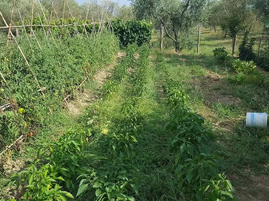 Immagine 19 di Appartamento in vendita  a Santa Maria A Monte