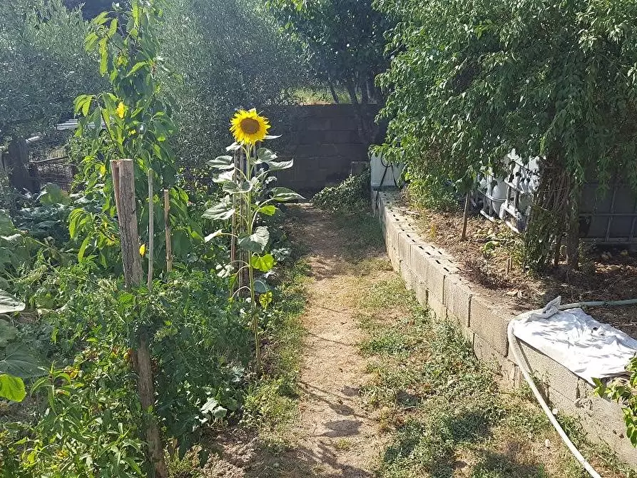 Immagine 20 di Appartamento in vendita  a Santa Maria A Monte