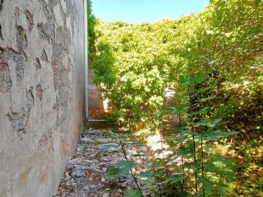 Immagine 10 di Casa colonica in vendita  a Miggiano