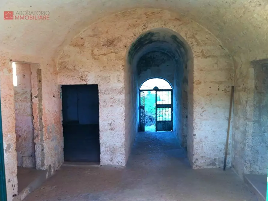 Immagine 21 di Casa colonica in vendita  a Miggiano