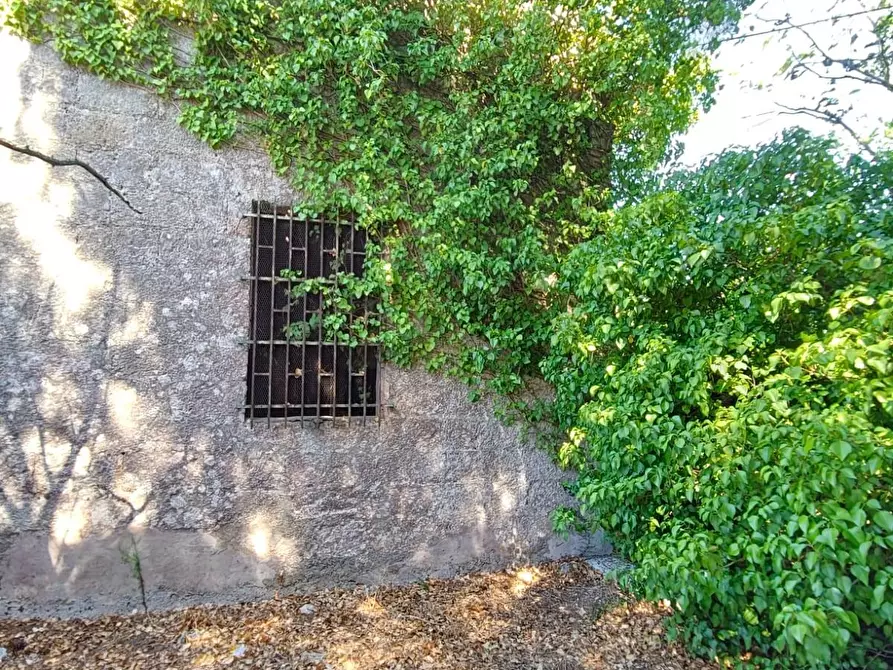 Immagine 9 di Casa colonica in vendita  a Miggiano