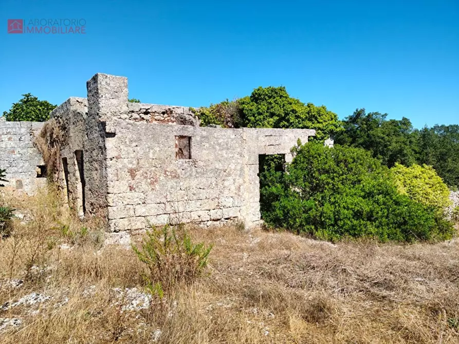 Immagine 14 di Casa colonica in vendita  a Miggiano