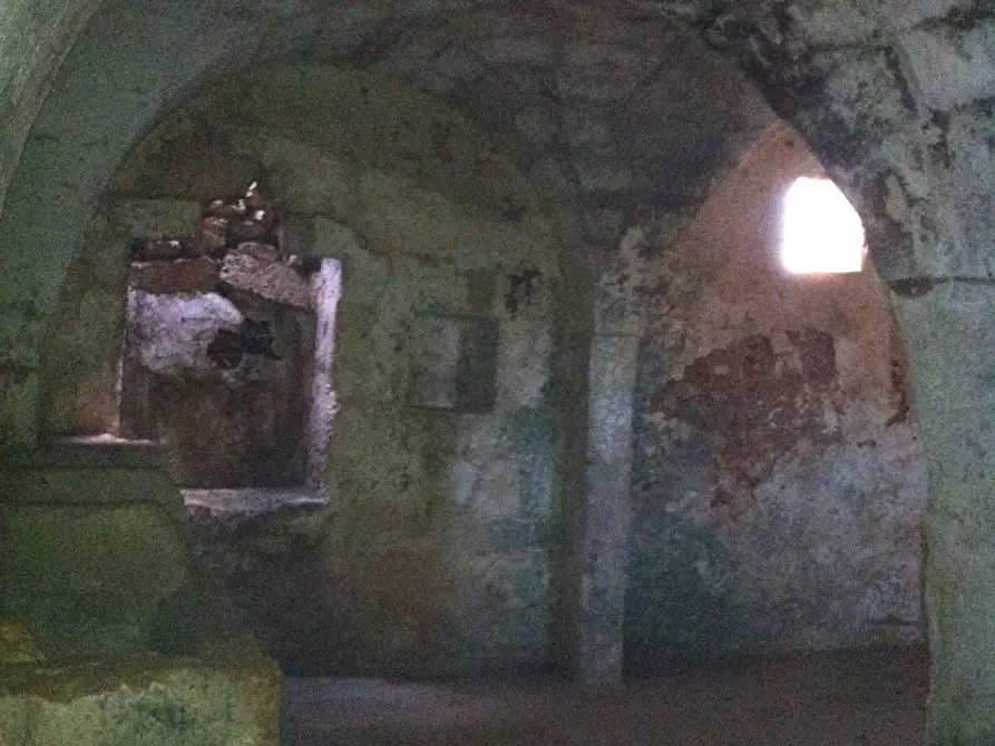 Immagine 20 di Casa colonica in vendita  a Miggiano