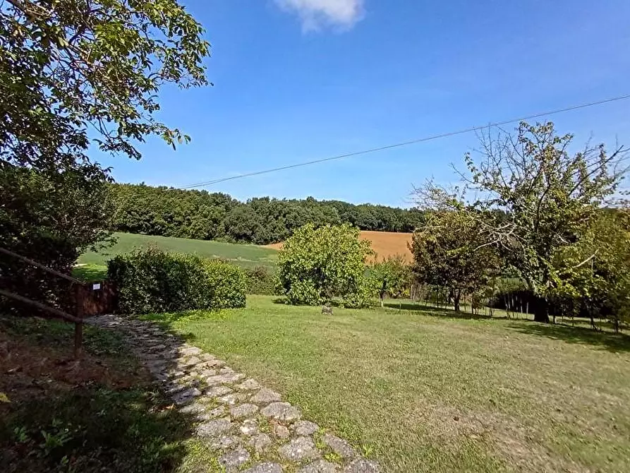 Immagine 7 di Casa colonica in vendita  a Gambassi Terme