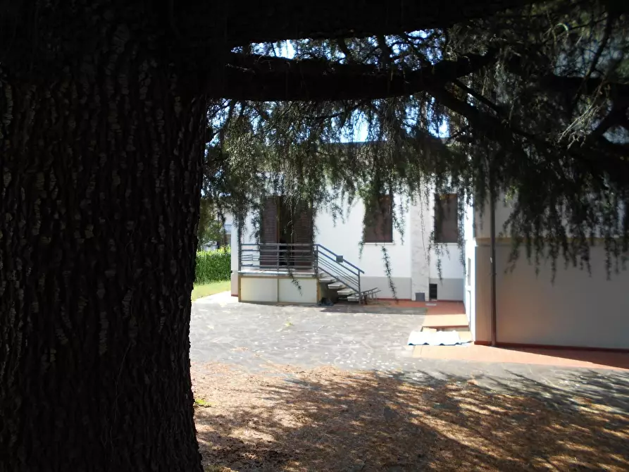 Immagine 44 di Villa in vendita  a Castelfranco Di Sotto