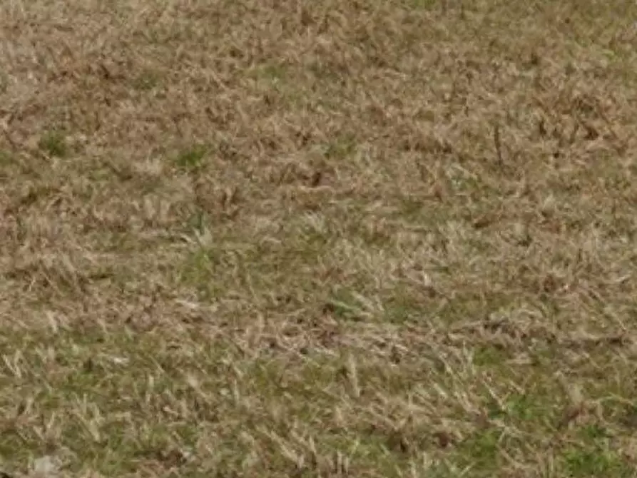 Immagine 1 di Terreno residenziale in vendita  a Casciana Terme Lari