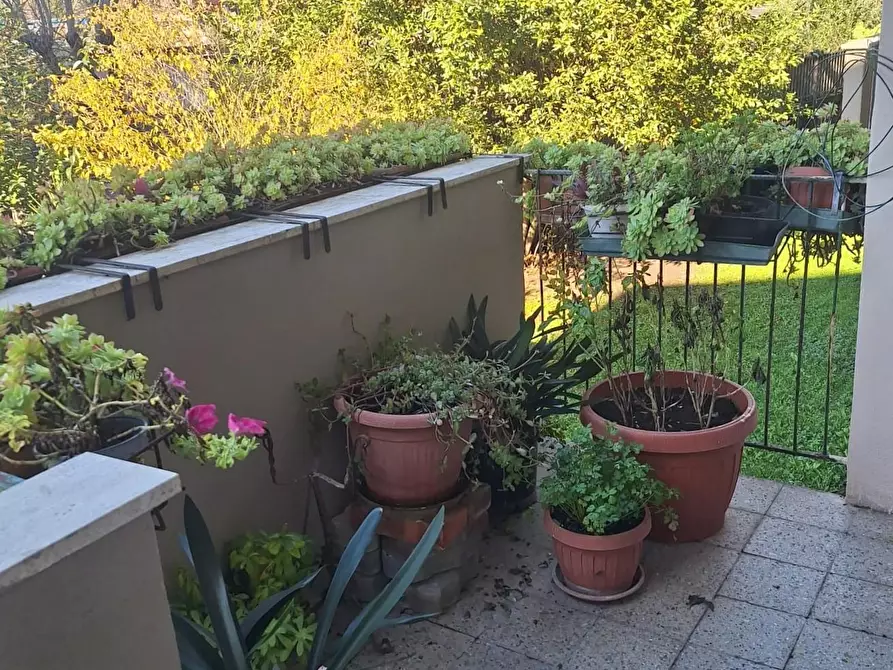 Immagine 7 di Appartamento in vendita  a Lucca