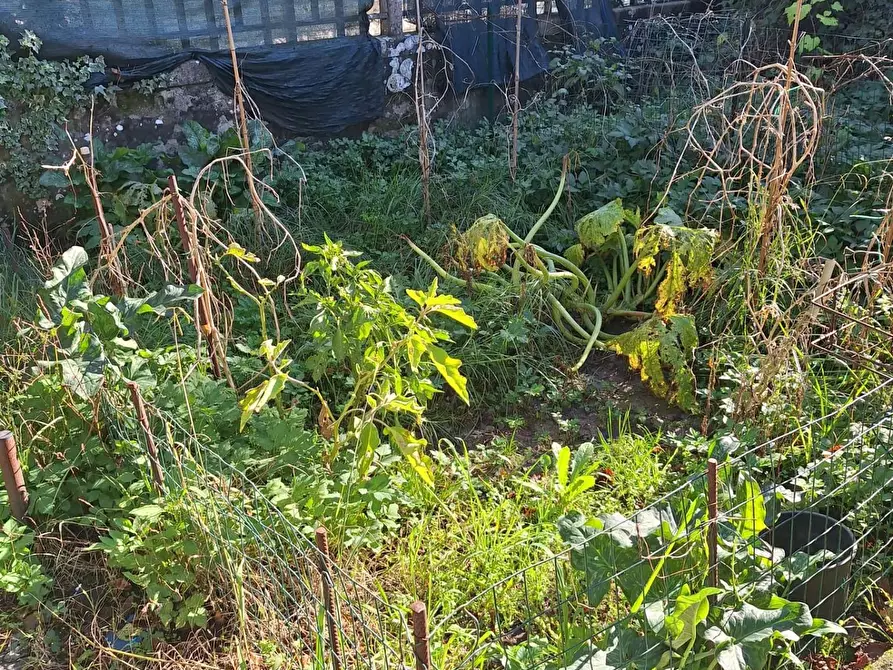 Immagine 21 di Appartamento in vendita  a Lucca