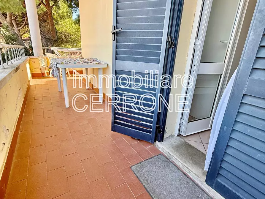 Immagine 16 di Appartamento in vendita  a Cecina