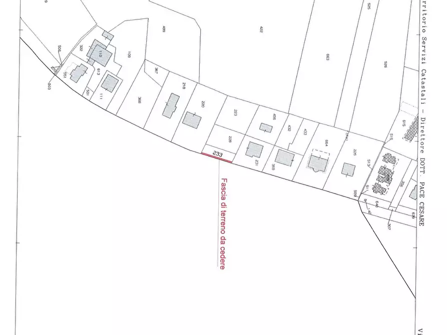 Immagine 2 di Terreno residenziale in vendita  a Bientina