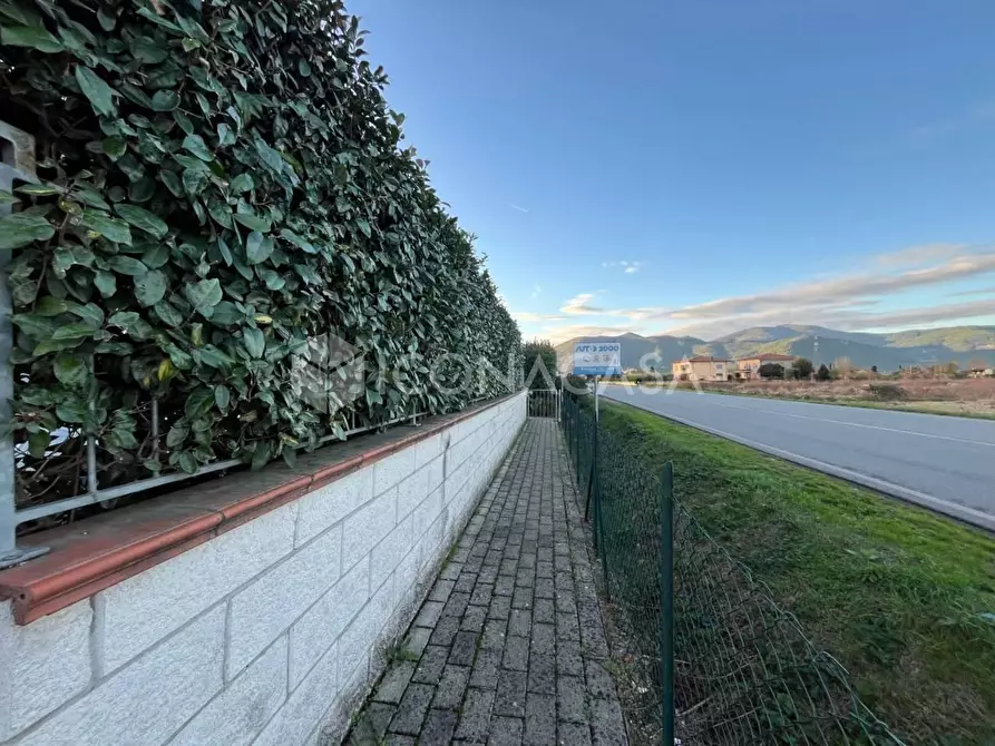 Immagine 2 di Appartamento in vendita  a Calcinaia