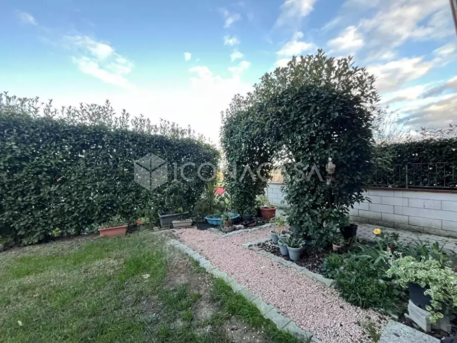 Immagine 21 di Appartamento in vendita  a Calcinaia