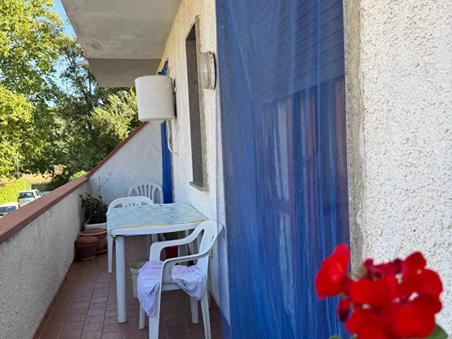 Immagine 11 di Appartamento in vendita  a Viareggio