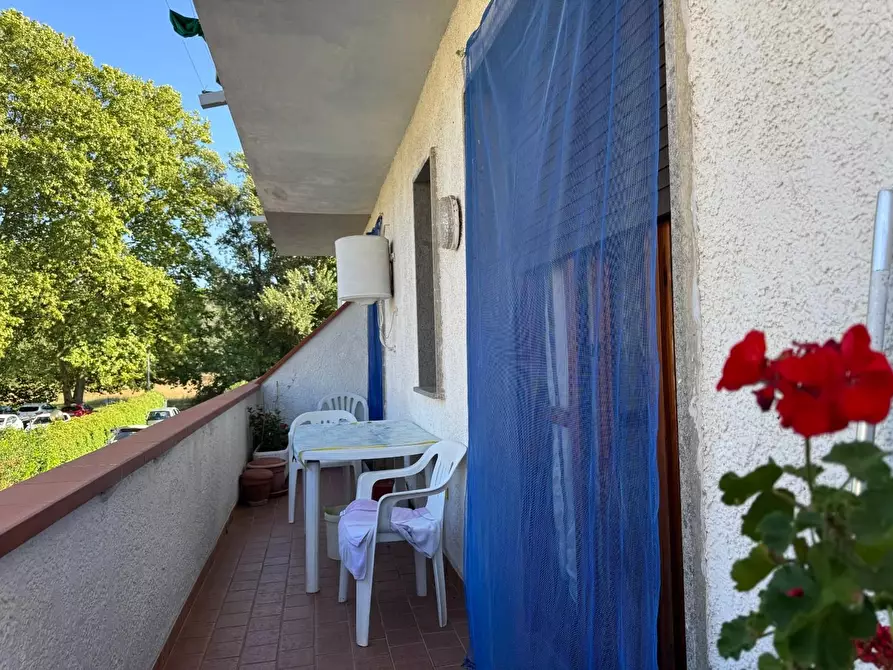 Immagine 19 di Appartamento in vendita  a Viareggio