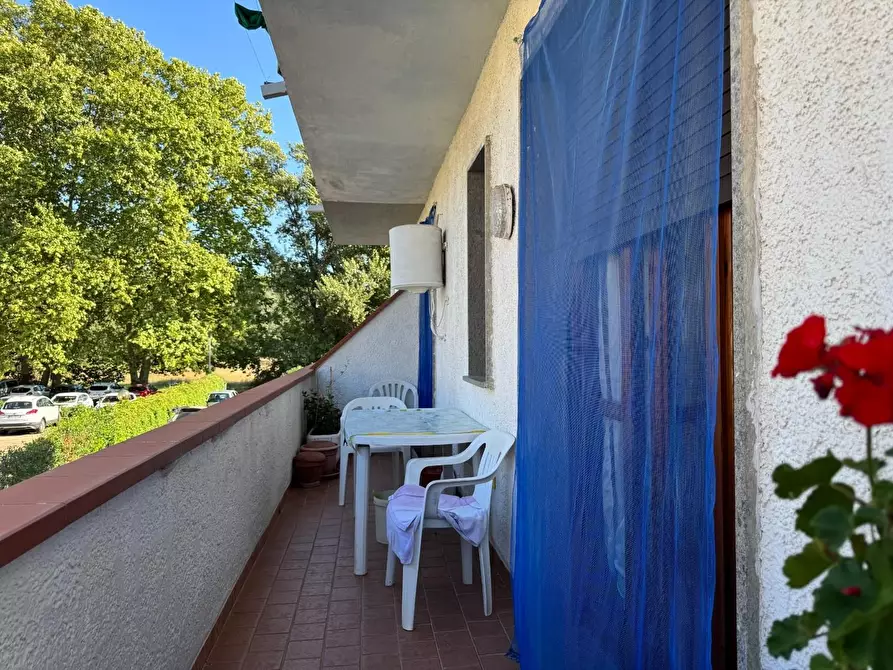 Immagine 7 di Appartamento in vendita  a Viareggio