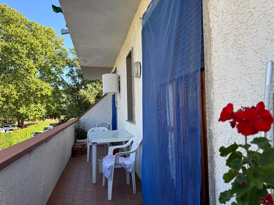 Immagine 15 di Appartamento in vendita  a Viareggio