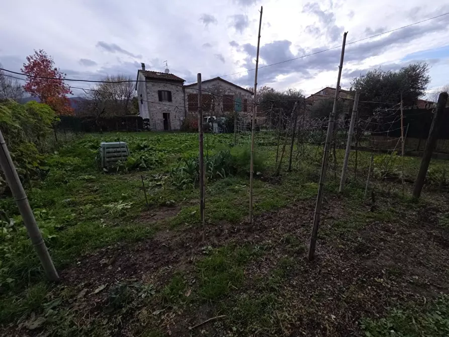 Immagine 17 di Deposito in vendita  a Capannori