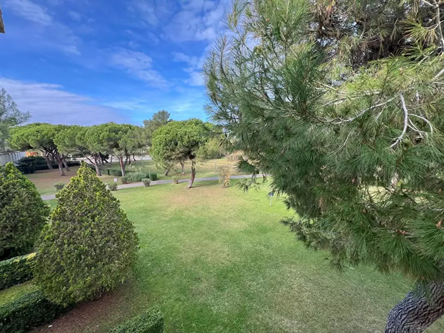 Immagine 9 di Appartamento in vendita  a Bibbona