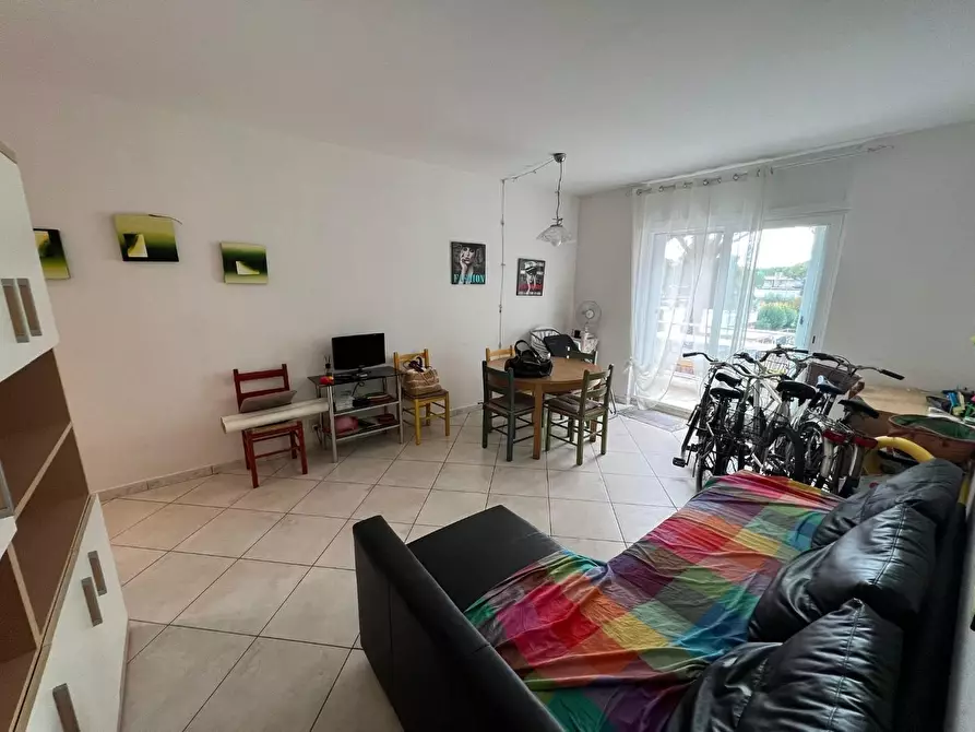 Immagine 6 di Appartamento in vendita  a Bibbona