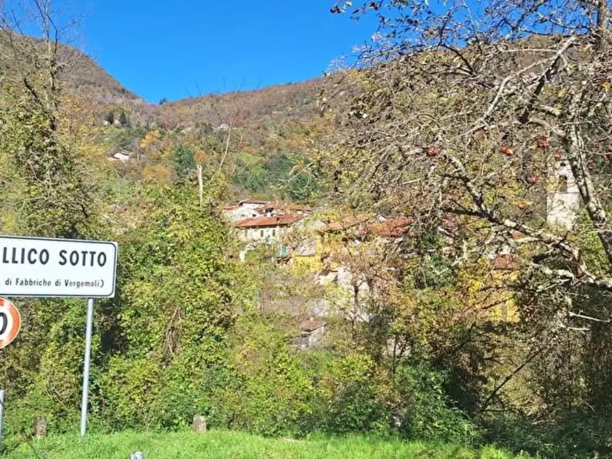 Immagine 38 di Terratetto in vendita  a Fabbriche Di Vergemoli