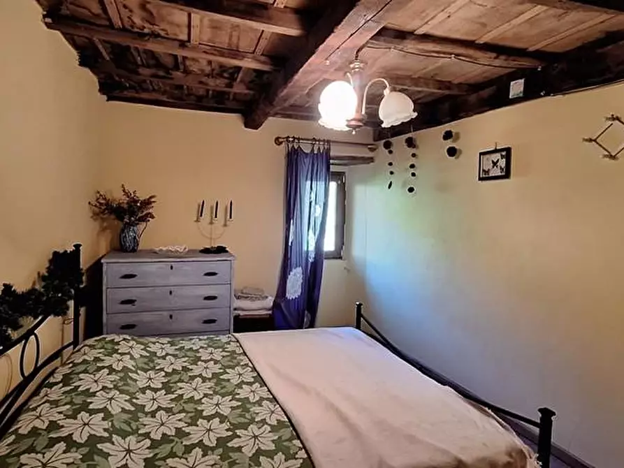 Immagine 24 di Terratetto in vendita  a Fabbriche Di Vergemoli