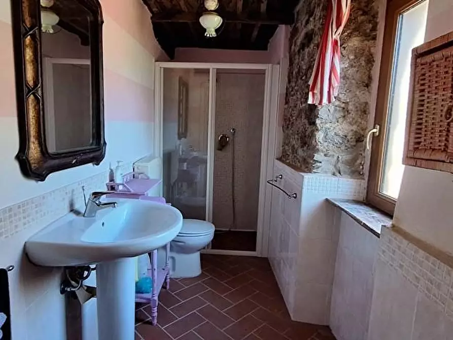 Immagine 21 di Terratetto in vendita  a Fabbriche Di Vergemoli