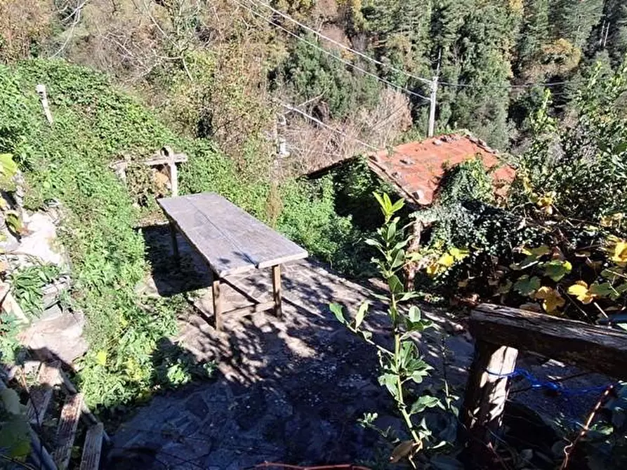Immagine 40 di Terratetto in vendita  a Fabbriche Di Vergemoli