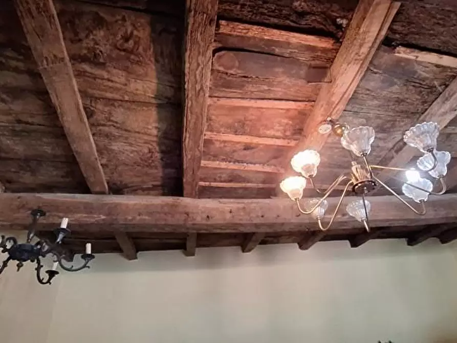 Immagine 16 di Terratetto in vendita  a Fabbriche Di Vergemoli