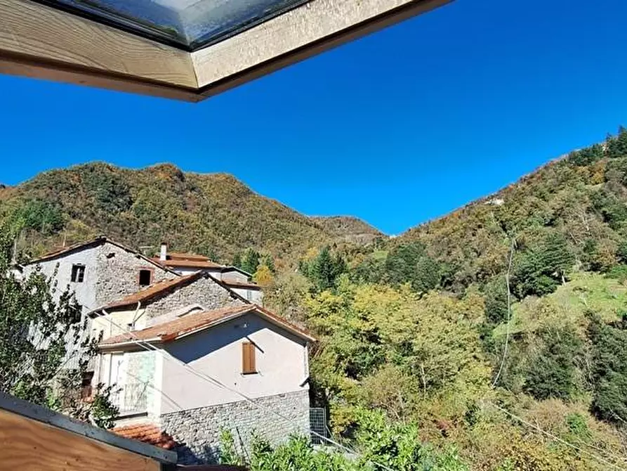 Immagine 30 di Terratetto in vendita  a Fabbriche Di Vergemoli