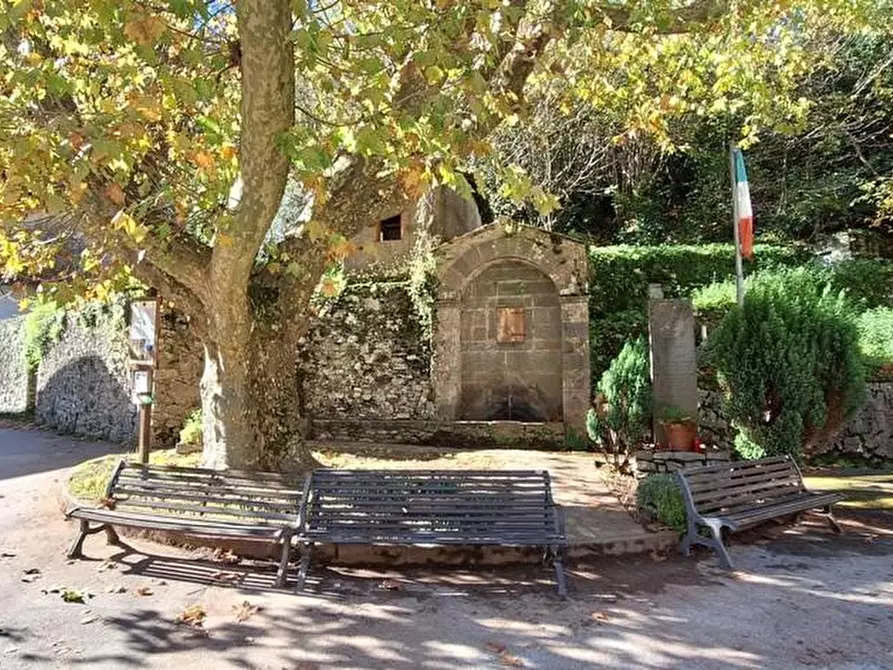 Immagine 37 di Terratetto in vendita  a Fabbriche Di Vergemoli