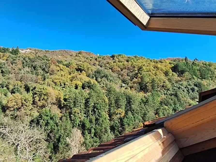 Immagine 29 di Terratetto in vendita  a Fabbriche Di Vergemoli