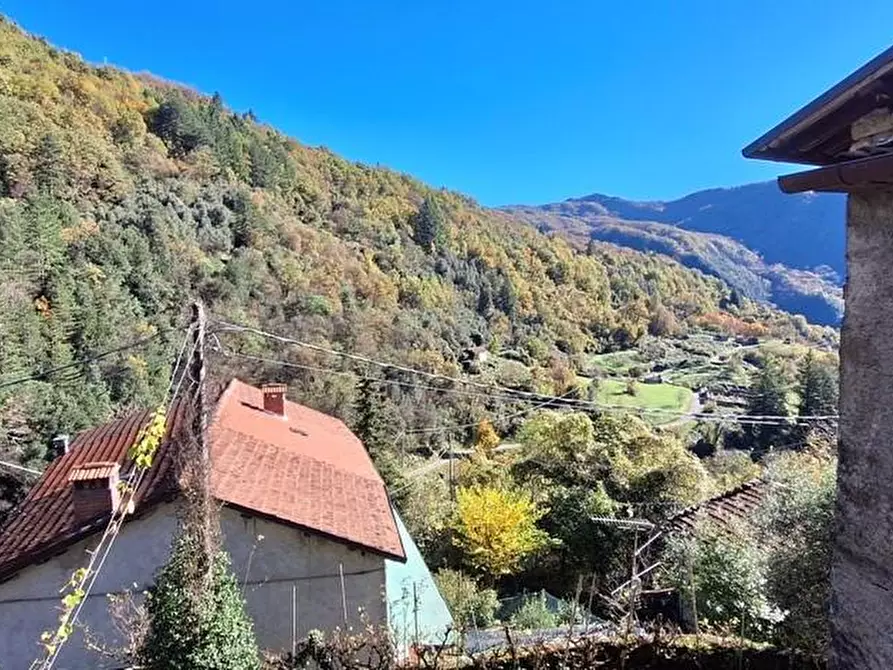 Immagine 13 di Terratetto in vendita  a Fabbriche Di Vergemoli