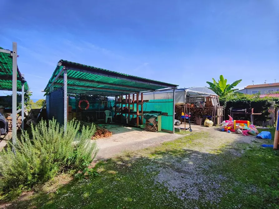 Immagine 35 di Appartamento in vendita  a Vecchiano