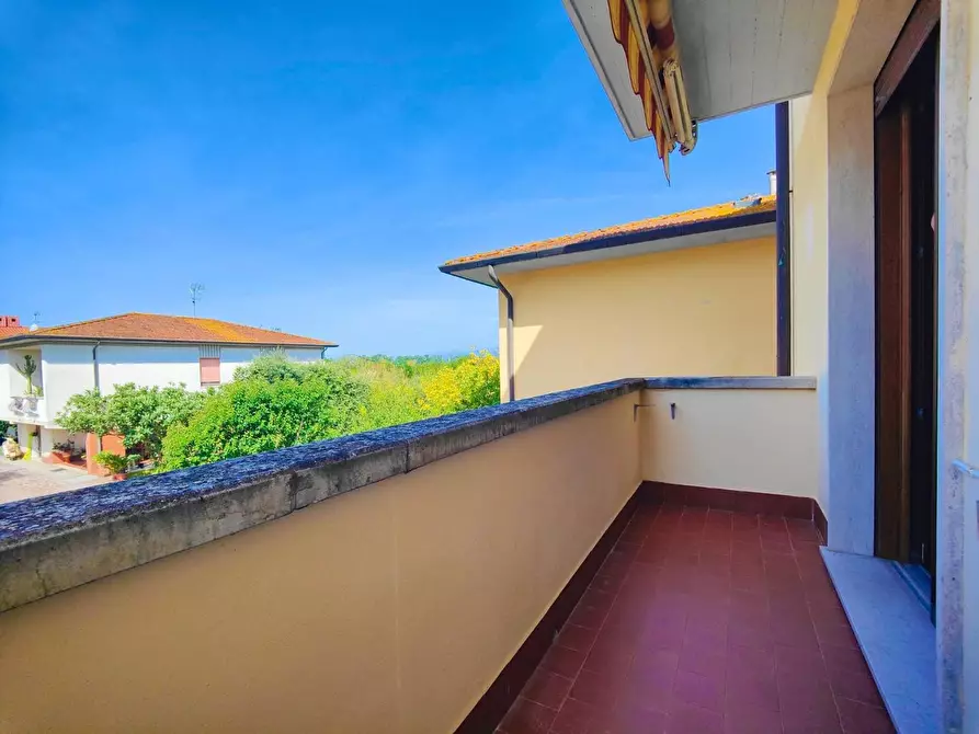 Immagine 19 di Appartamento in vendita  a Vecchiano