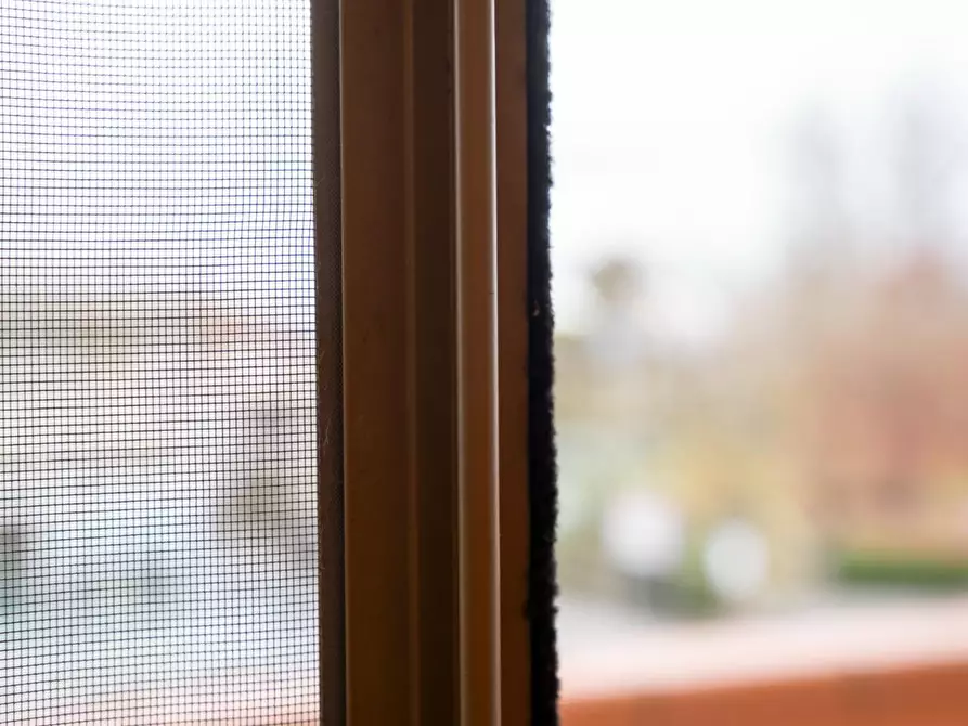 Immagine 44 di Appartamento in vendita  a Casciana Terme Lari