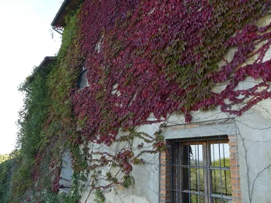 Immagine 11 di Casa colonica in vendita  a San Gimignano