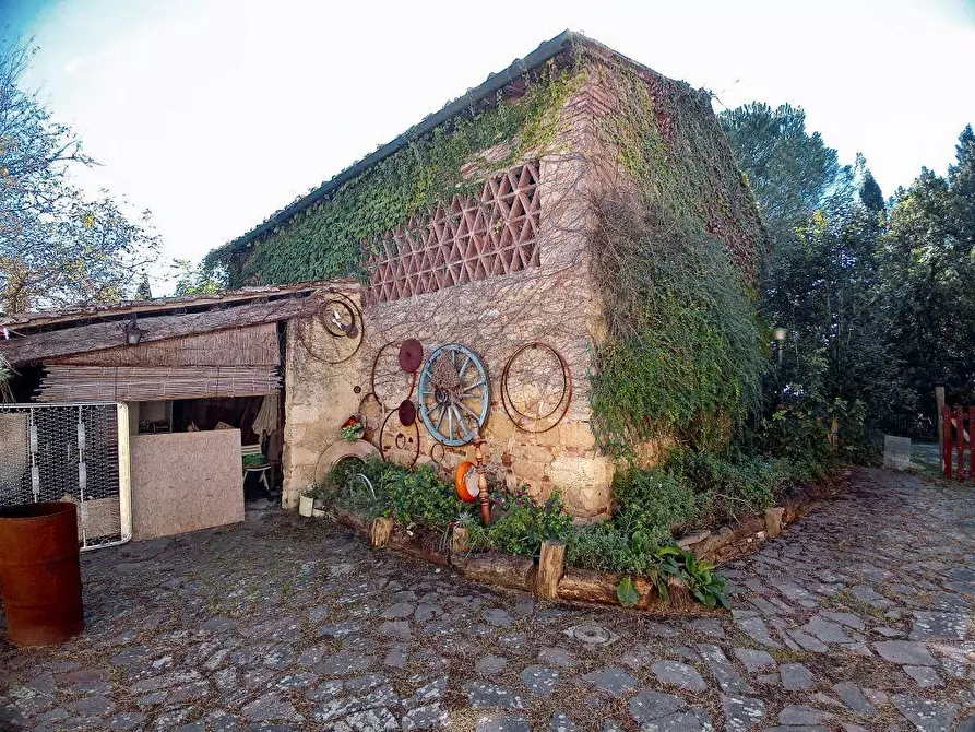 Immagine 5 di Casa colonica in vendita  a San Gimignano