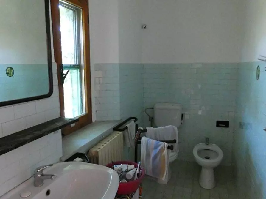 Immagine 30 di Casa colonica in vendita  a San Gimignano