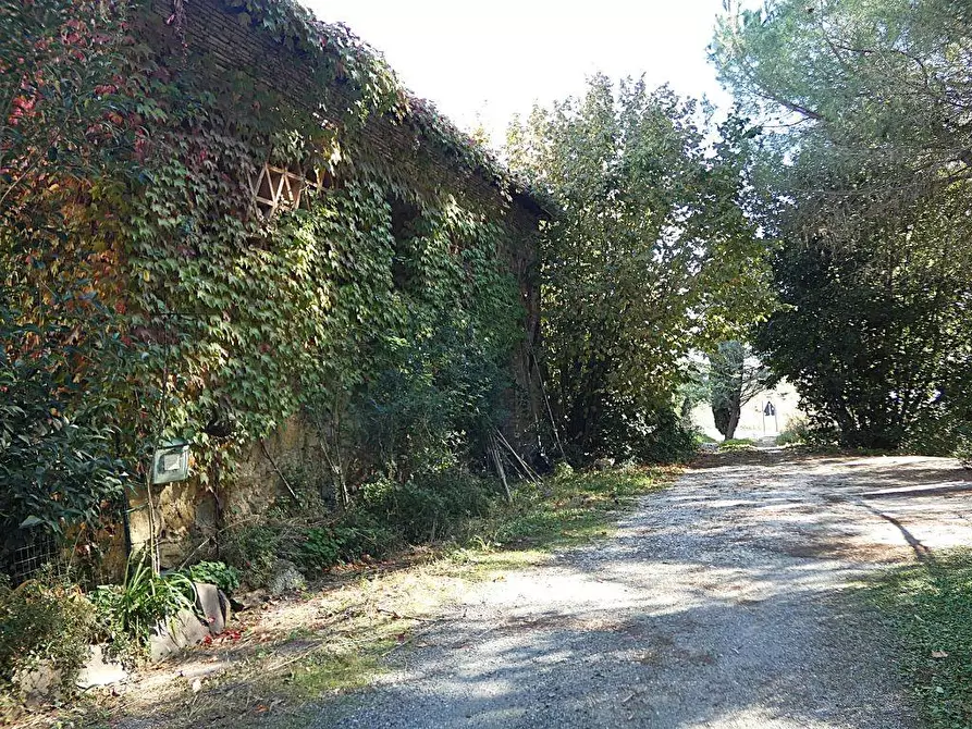 Immagine 8 di Casa colonica in vendita  a San Gimignano