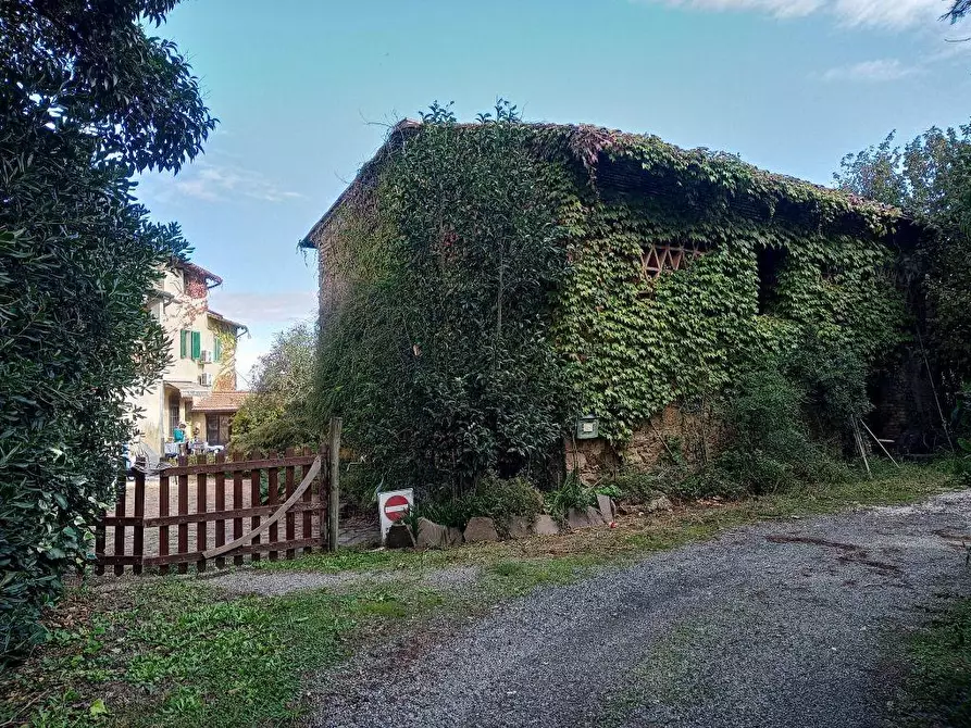 Immagine 3 di Casa colonica in vendita  a San Gimignano