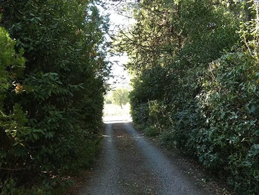Immagine 9 di Casa colonica in vendita  a San Gimignano