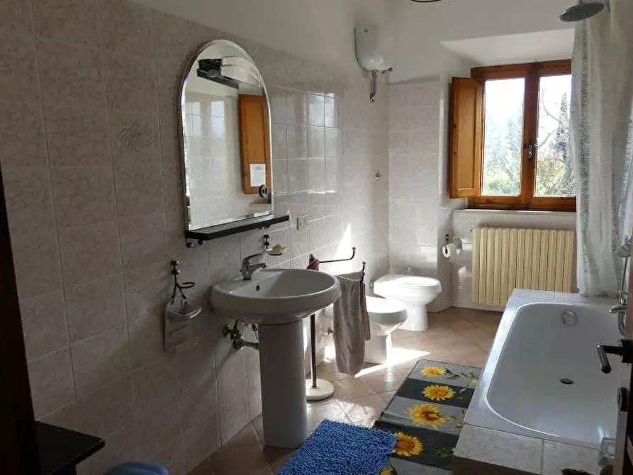 Immagine 26 di Casa colonica in vendita  a San Gimignano