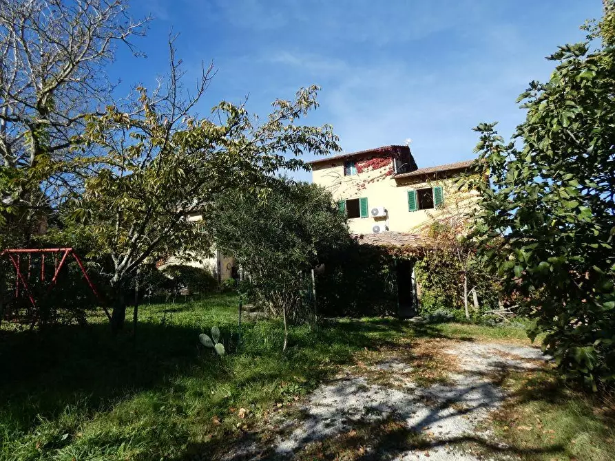 Immagine 7 di Casa colonica in vendita  a San Gimignano