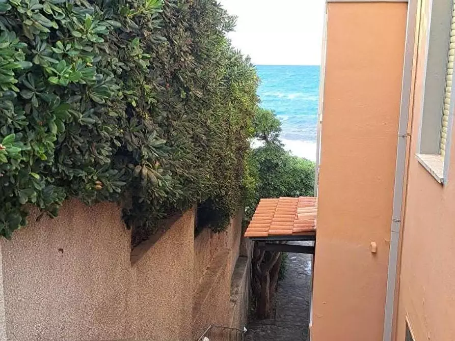 Immagine 18 di Appartamento in vendita  a Rosignano Marittimo