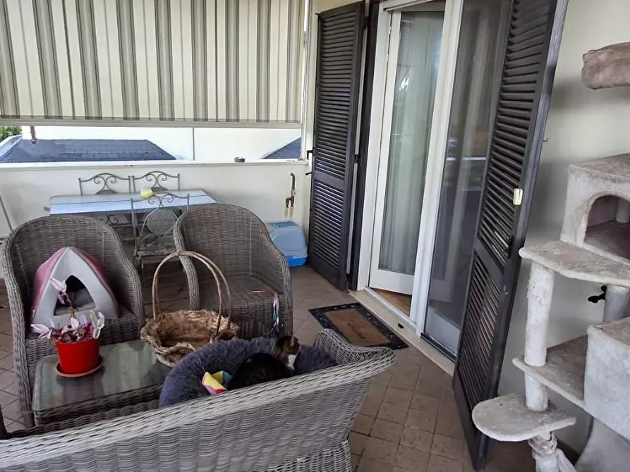 Immagine 16 di Appartamento in vendita  a Grosseto