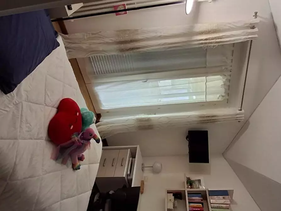 Immagine 18 di Appartamento in vendita  a Grosseto