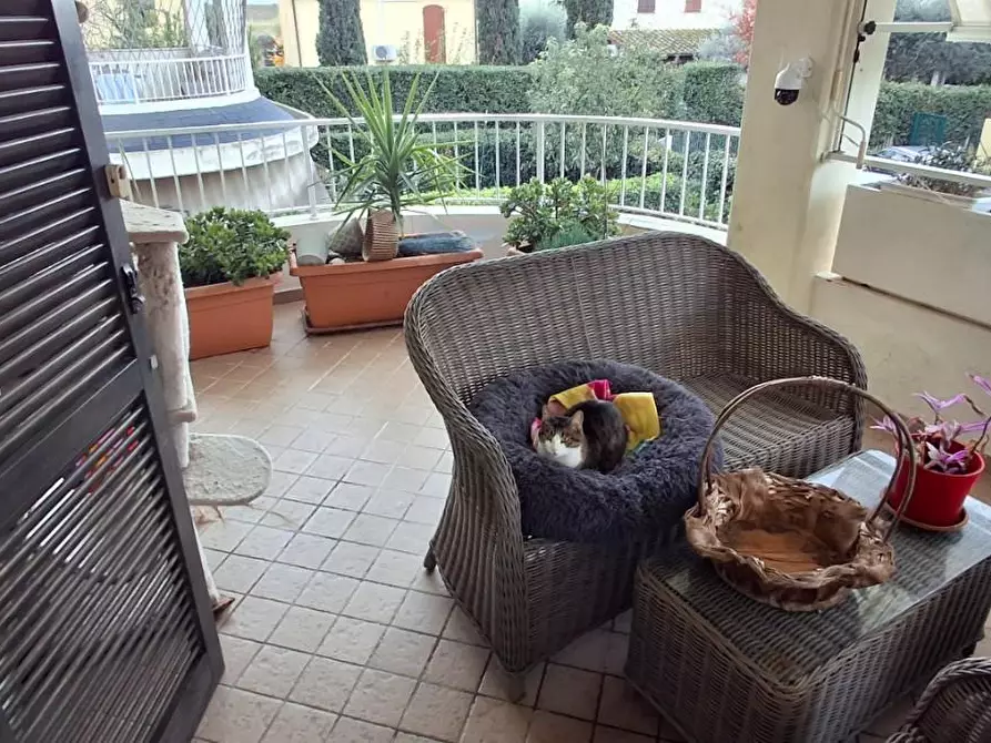 Immagine 14 di Appartamento in vendita  a Grosseto