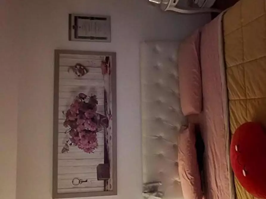 Immagine 28 di Appartamento in vendita  a Grosseto