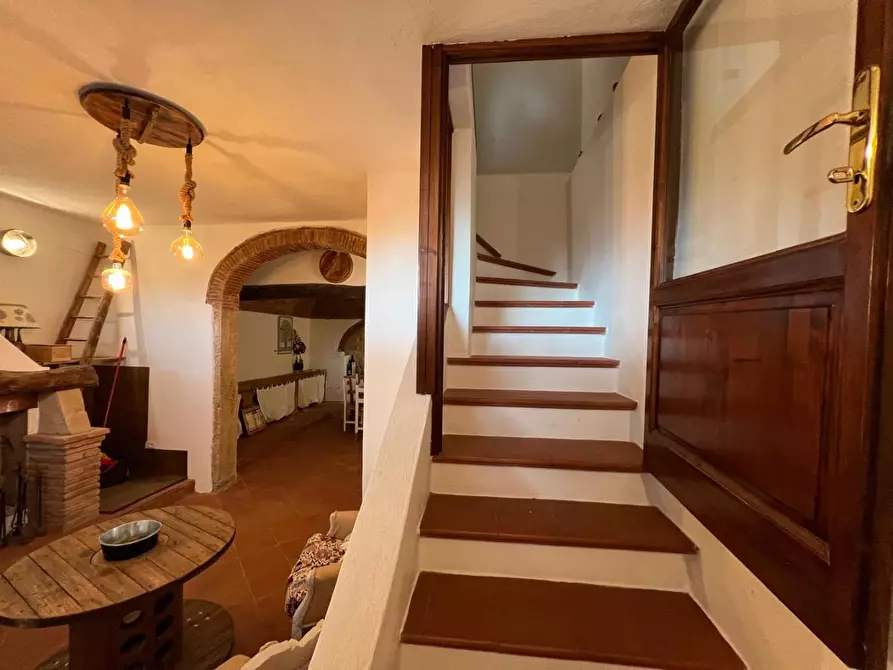 Immagine 17 di Terratetto in vendita  a Casale Marittimo