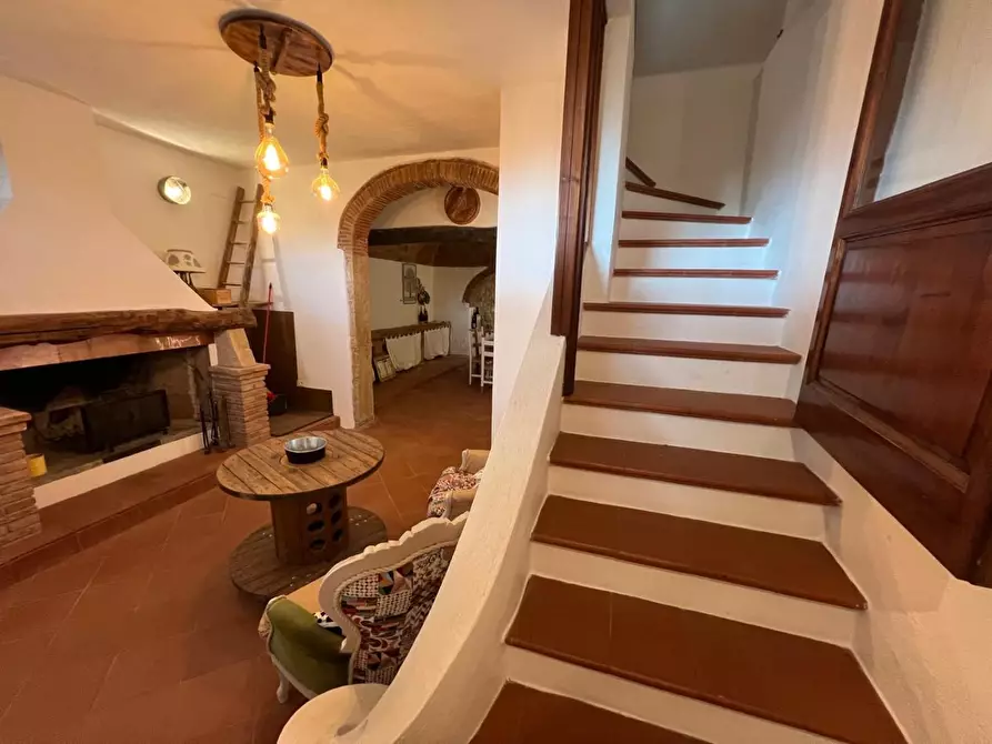 Immagine 18 di Terratetto in vendita  a Casale Marittimo